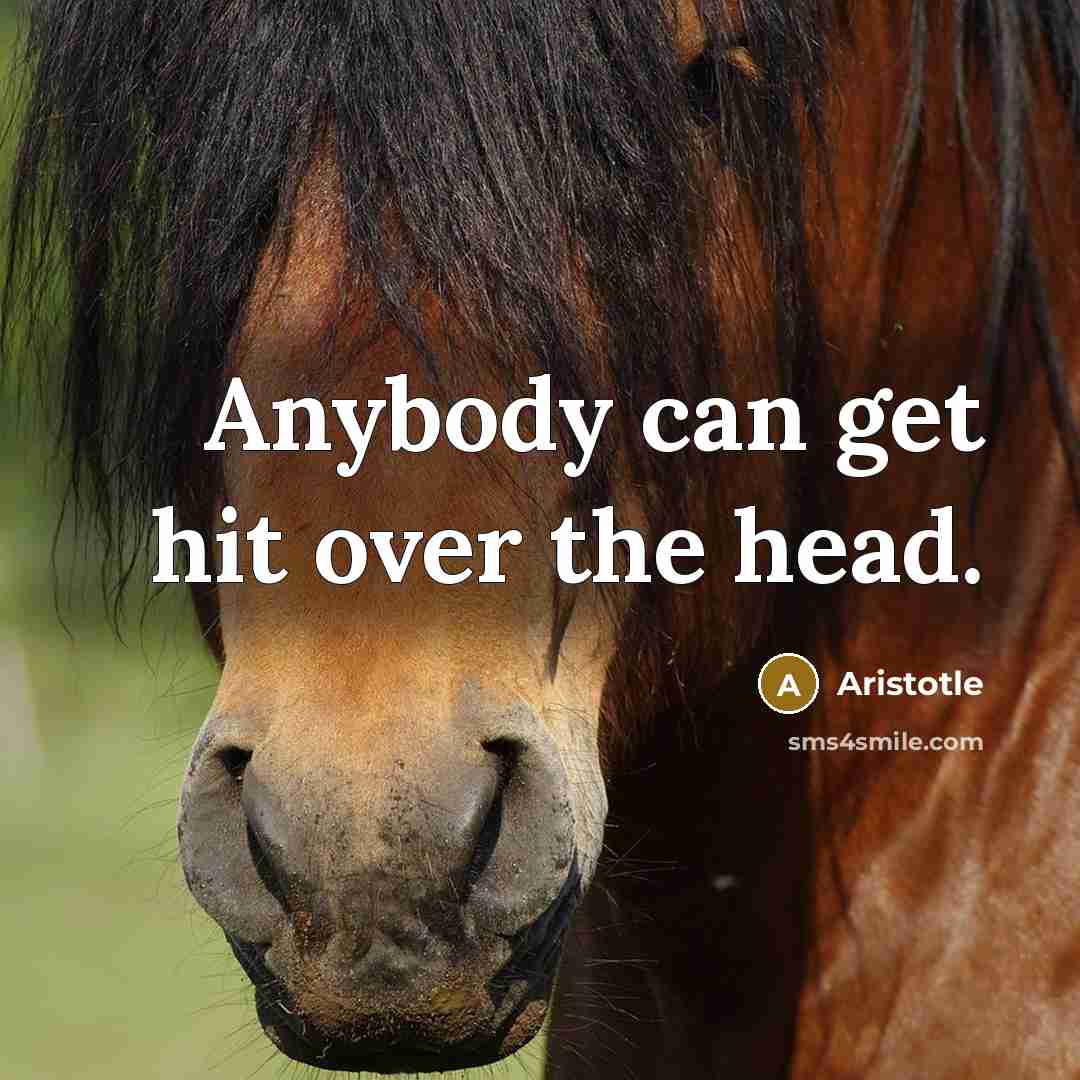 “Anybody can get hit over the head.” quote by Aristotle