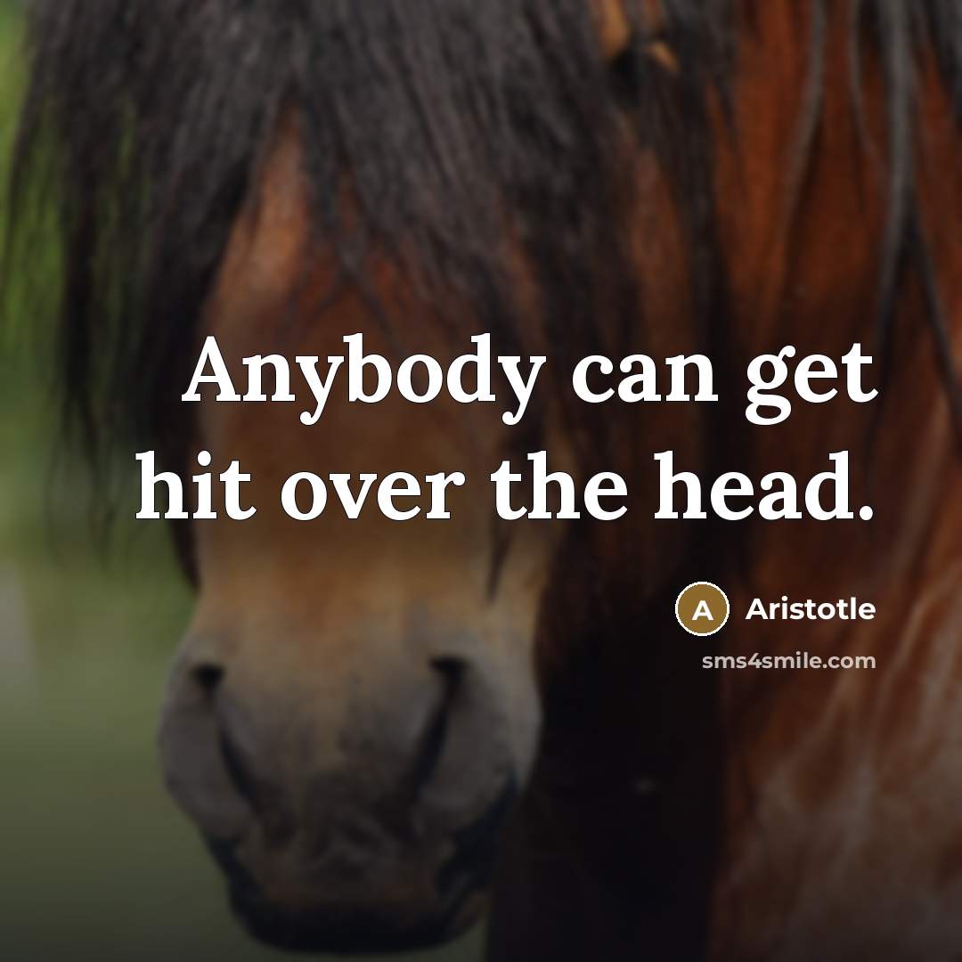 “Anybody can get hit over the head.…” quote by Aristotle
