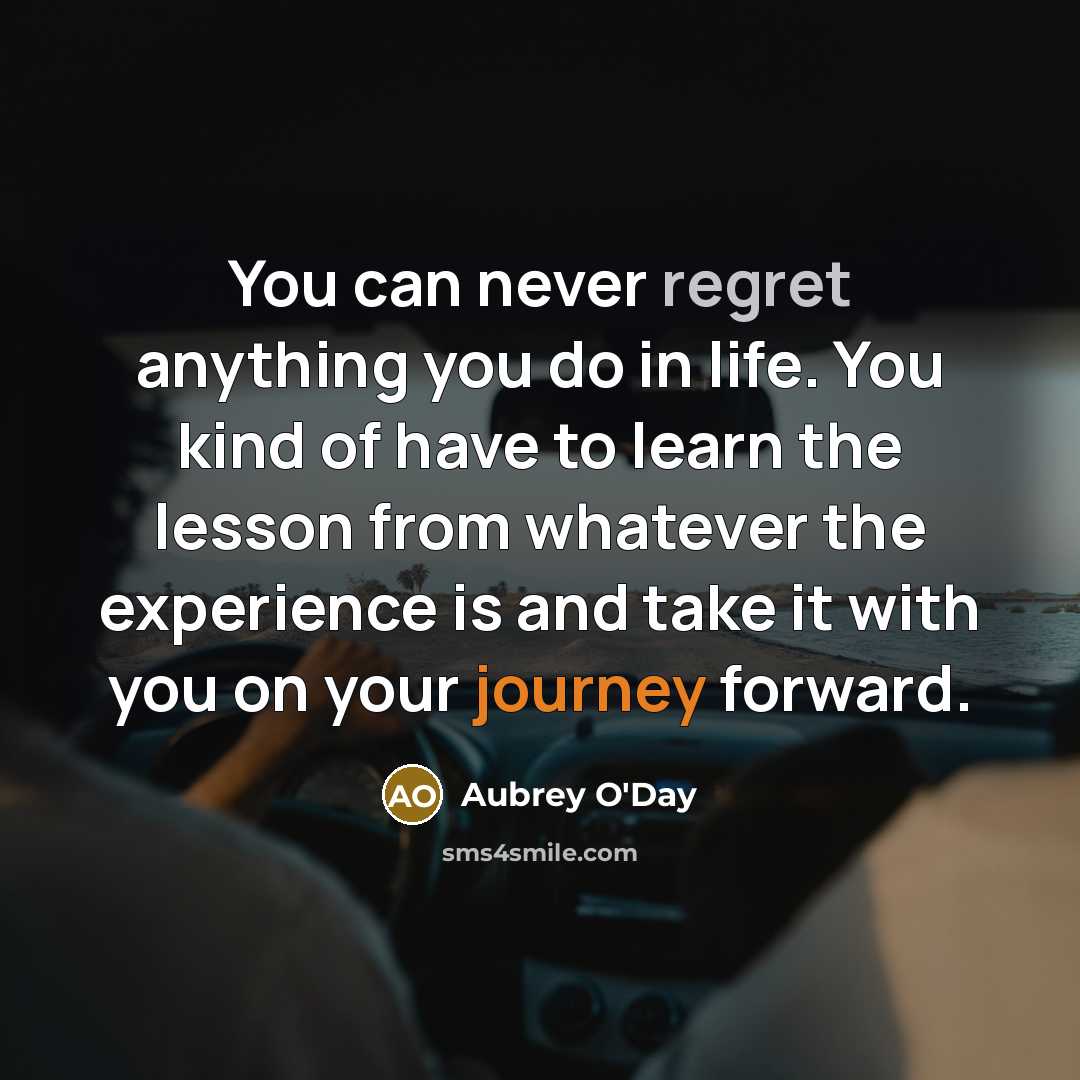 “You can never regret anything you do in life. You…” quote by Aubrey O'Day