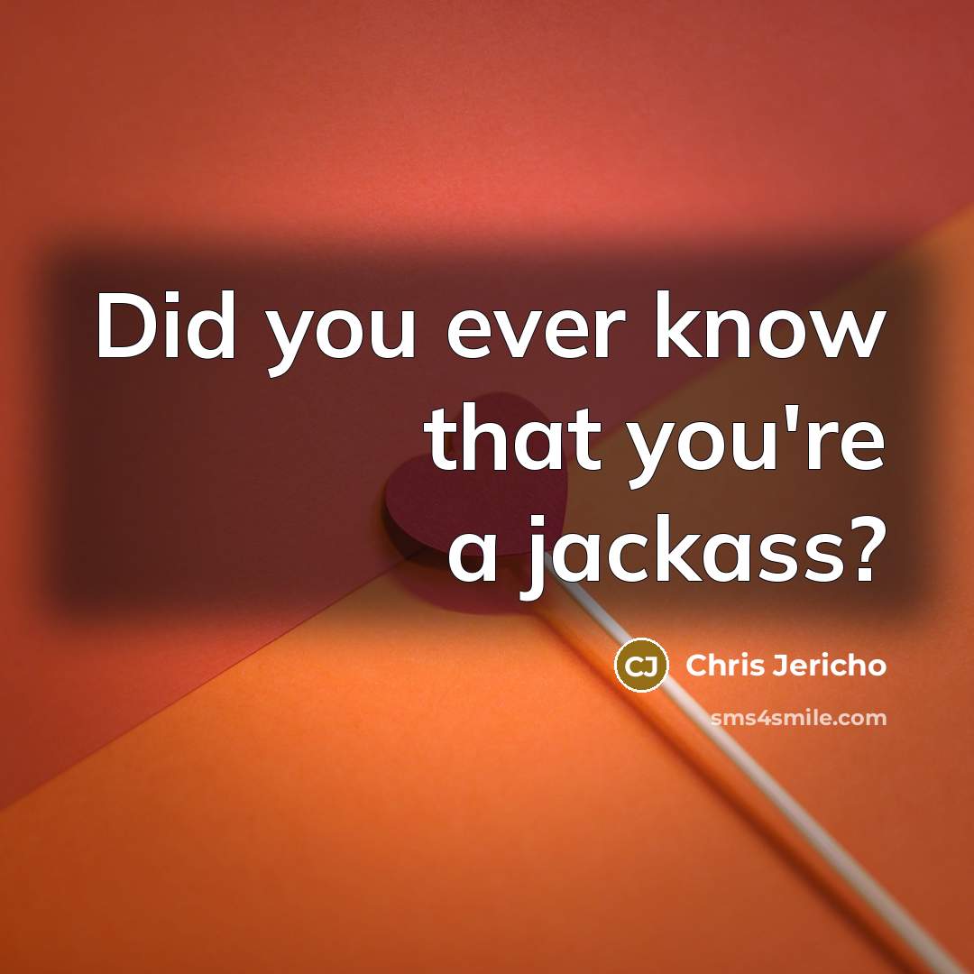 “Did you ever know that you're a jackass?…” quote by Chris Jericho