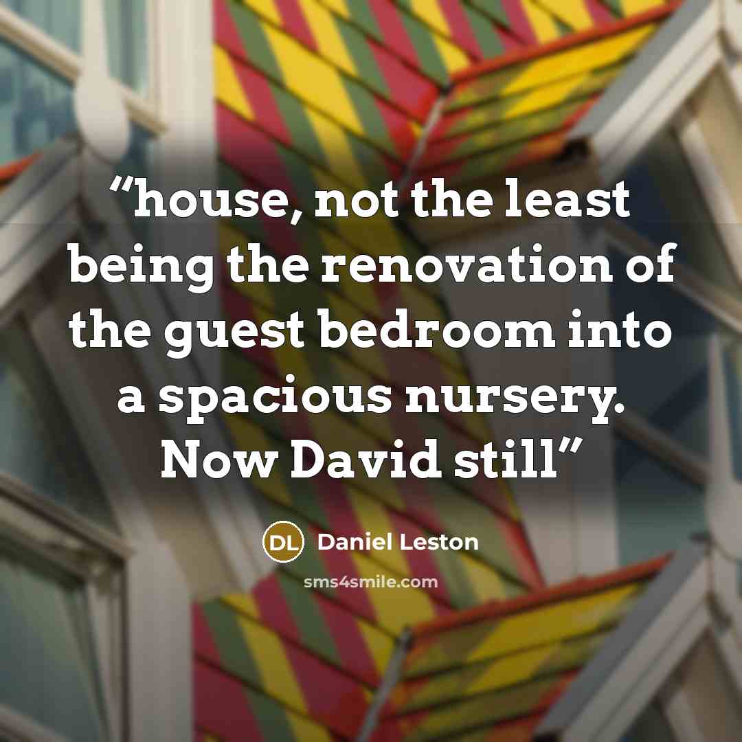 “house, not the least being the renovation of the guest bedroom into a spacious nursery. Now David still” quote by Daniel Leston