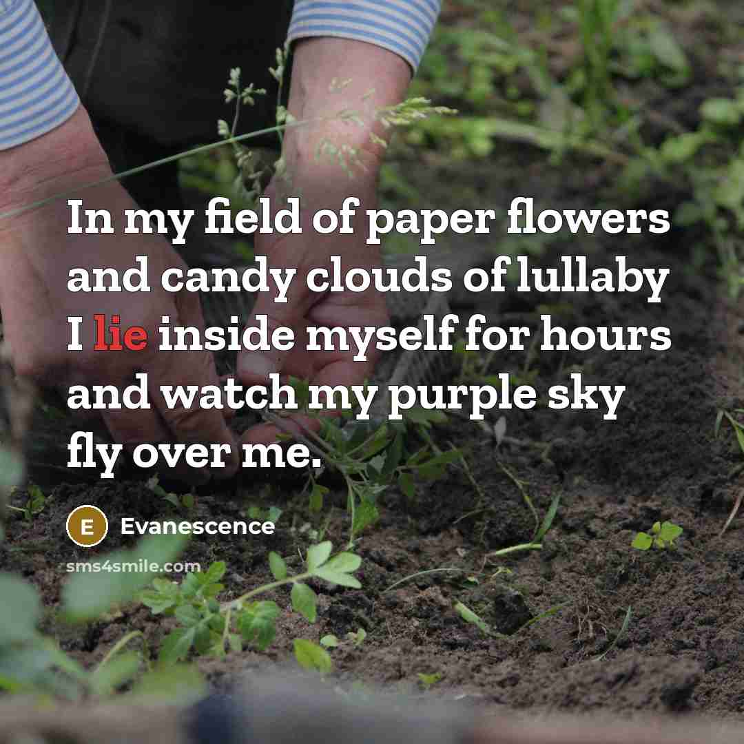 “In my field of paper flowers and candy clouds of…” quote by Evanescence