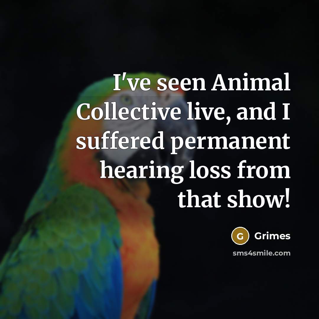 “I've seen Animal Collective live, and I suffered permanent hearing…” quote by Grimes