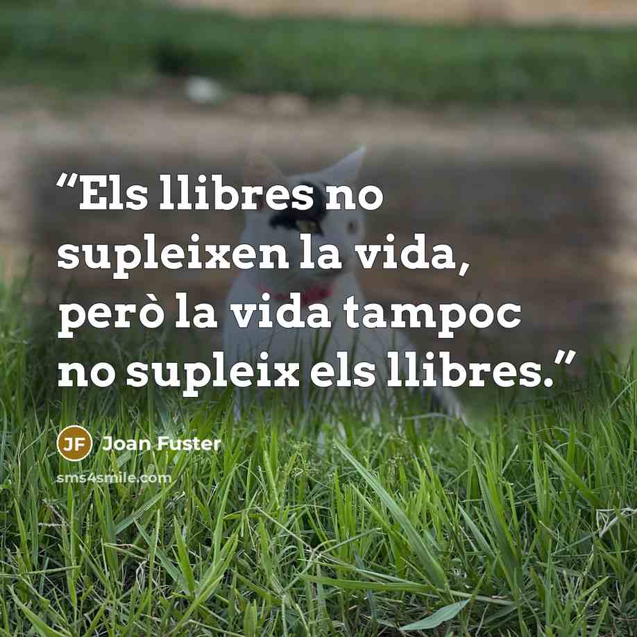 “Els llibres no supleixen la vida, però la vida tampoc no supleix els llibres.” quote by Joan Fuster