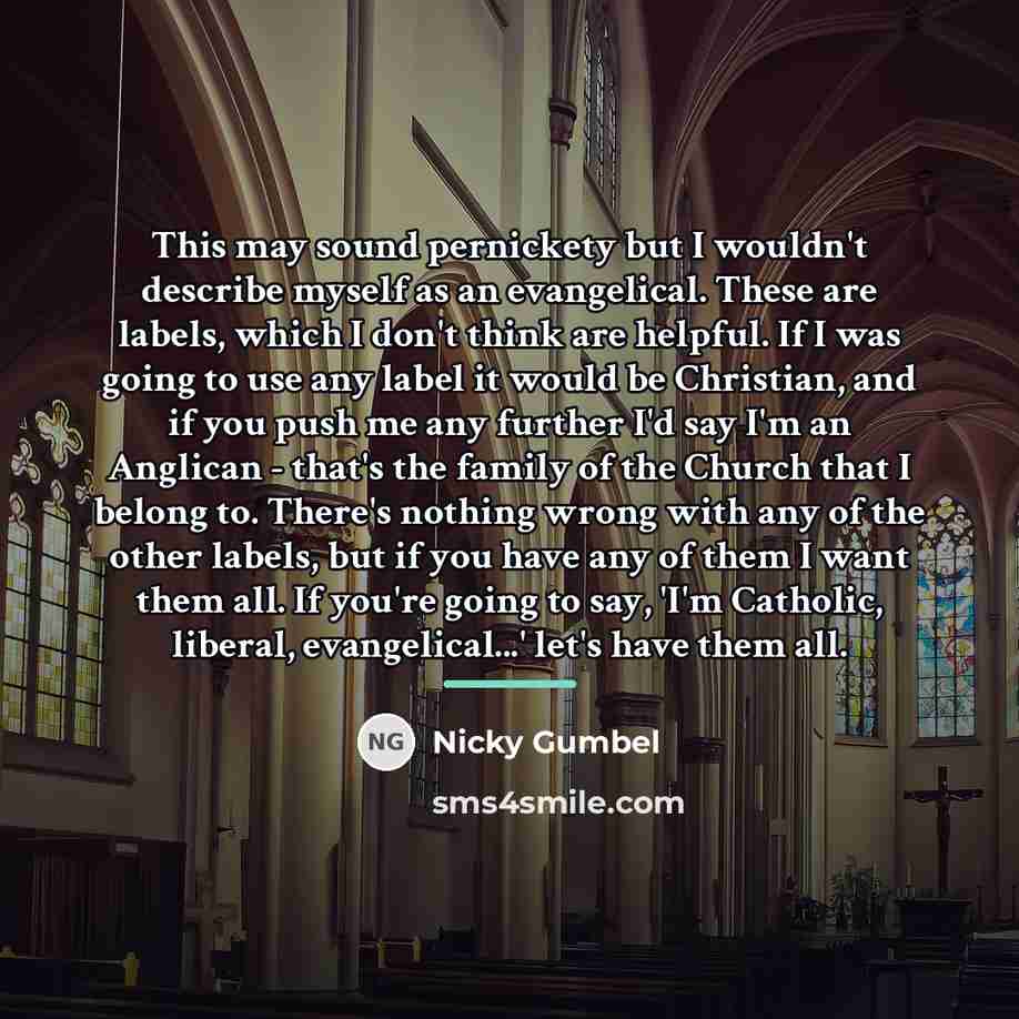 “This may sound pernickety but I wouldn't describe myself as…” quote by Nicky Gumbel