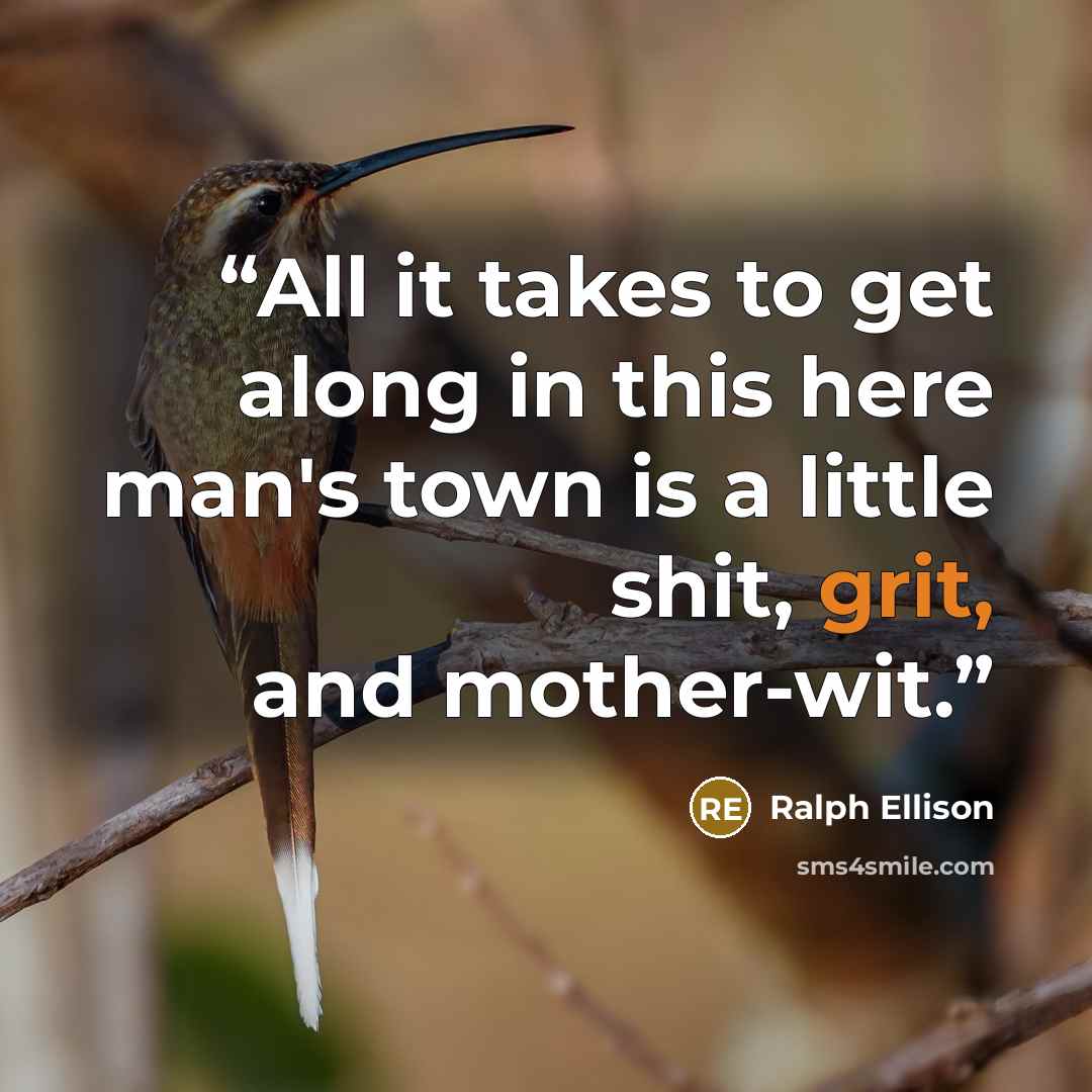 “All it takes to get along in this here man's town is a little shit, grit, and mother-wit.” quote by Ralph Ellison