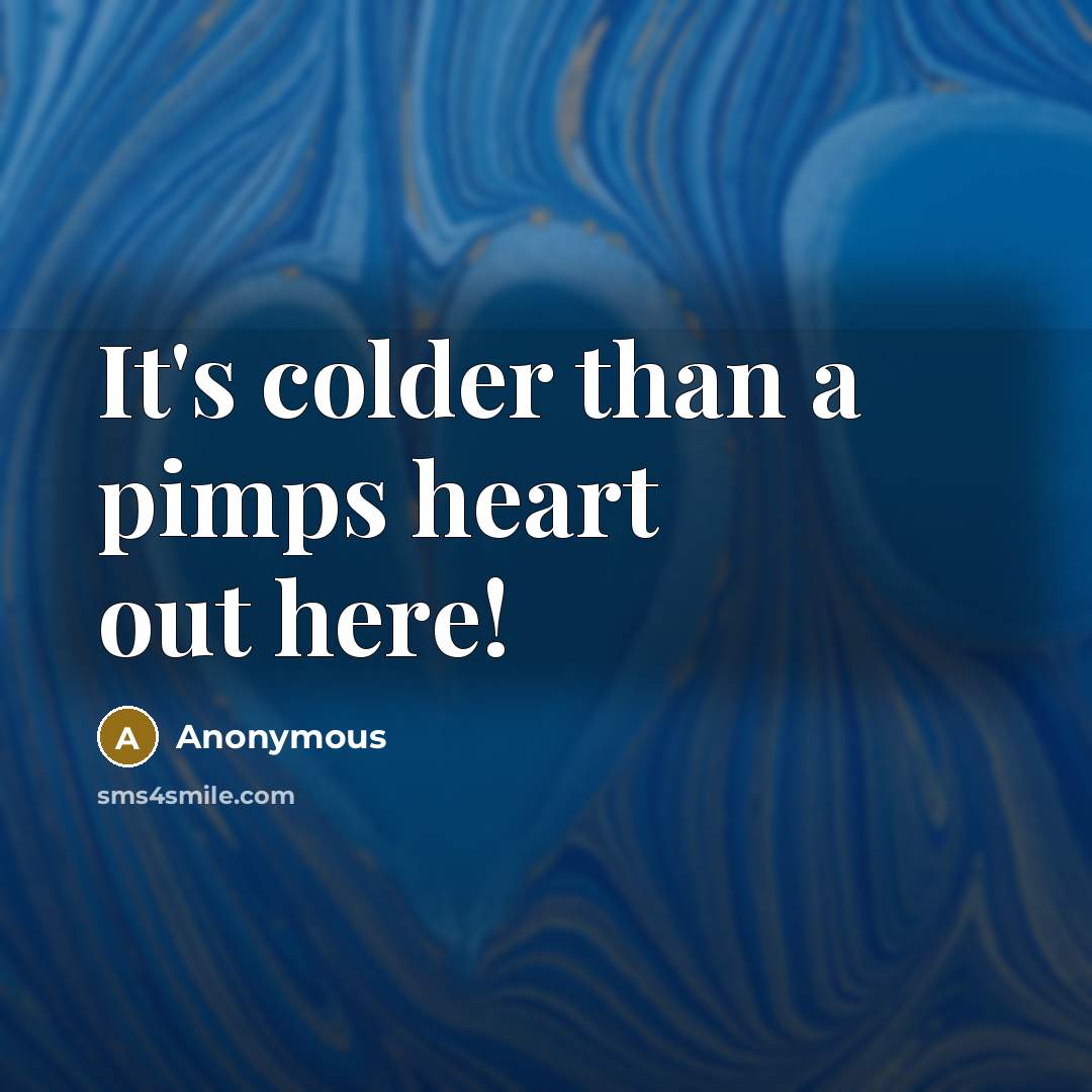 “It's colder than a pimps heart out here!…” quote by Anonymous