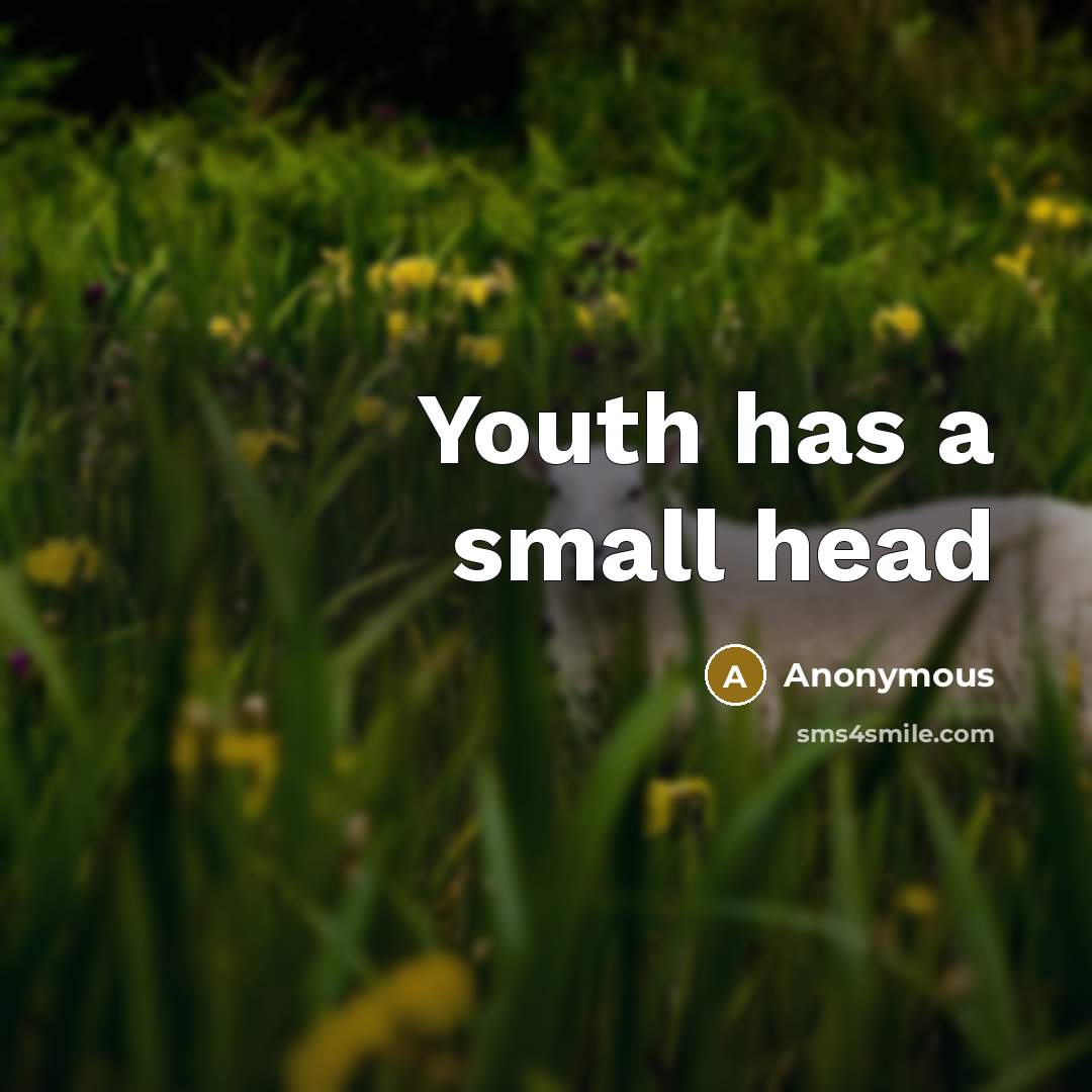 “Youth has a small head” quote by Anonymous