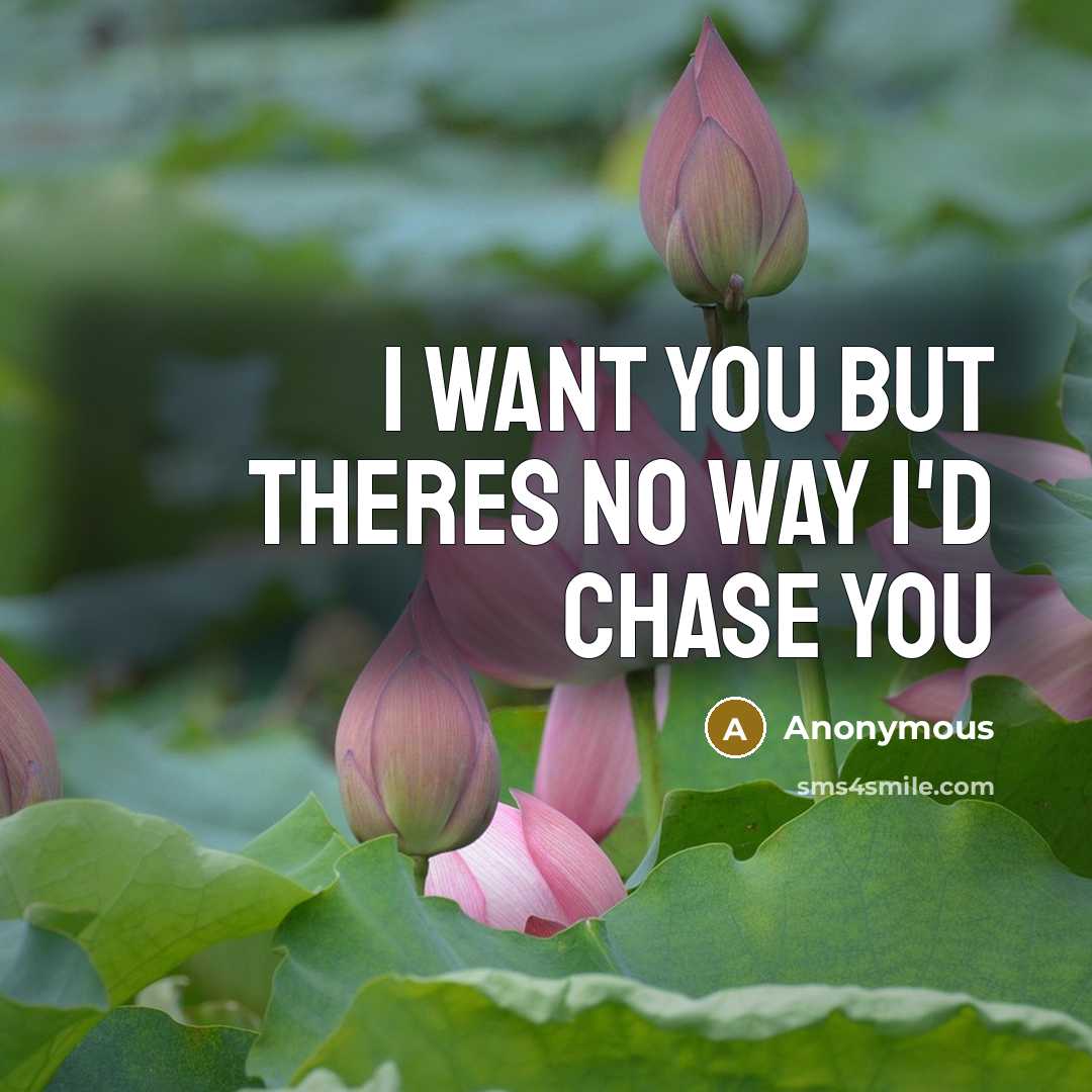 “I want you but theres no way I'd chase you…” quote by Anonymous