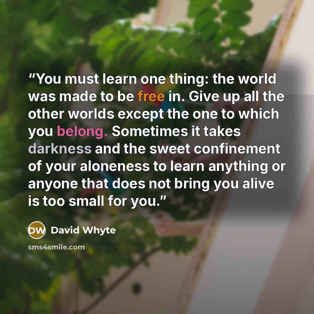 “You must learn one thing: the world was made to be free in. Give up all the other worlds except the one to which you belong. Sometimes it takes darkness and the sweet confinement of your aloneness to learn anything or anyone that does not bring you alive is too small for you.” quote by David Whyte