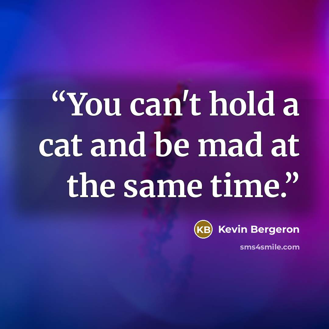 “You can't hold a cat and be mad at the same time.” quote by Kevin Bergeron