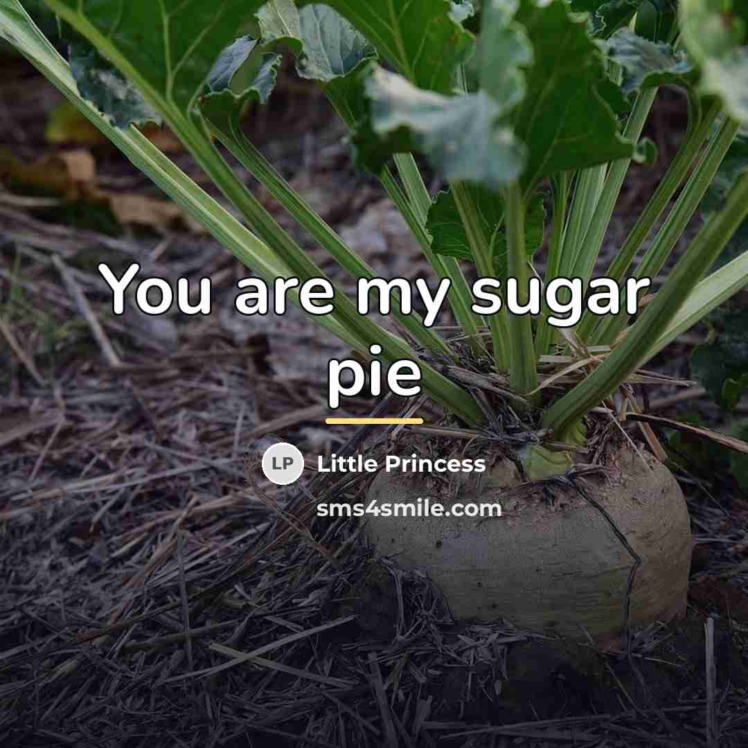 “You are my sugar pie…” quote by Little Princess