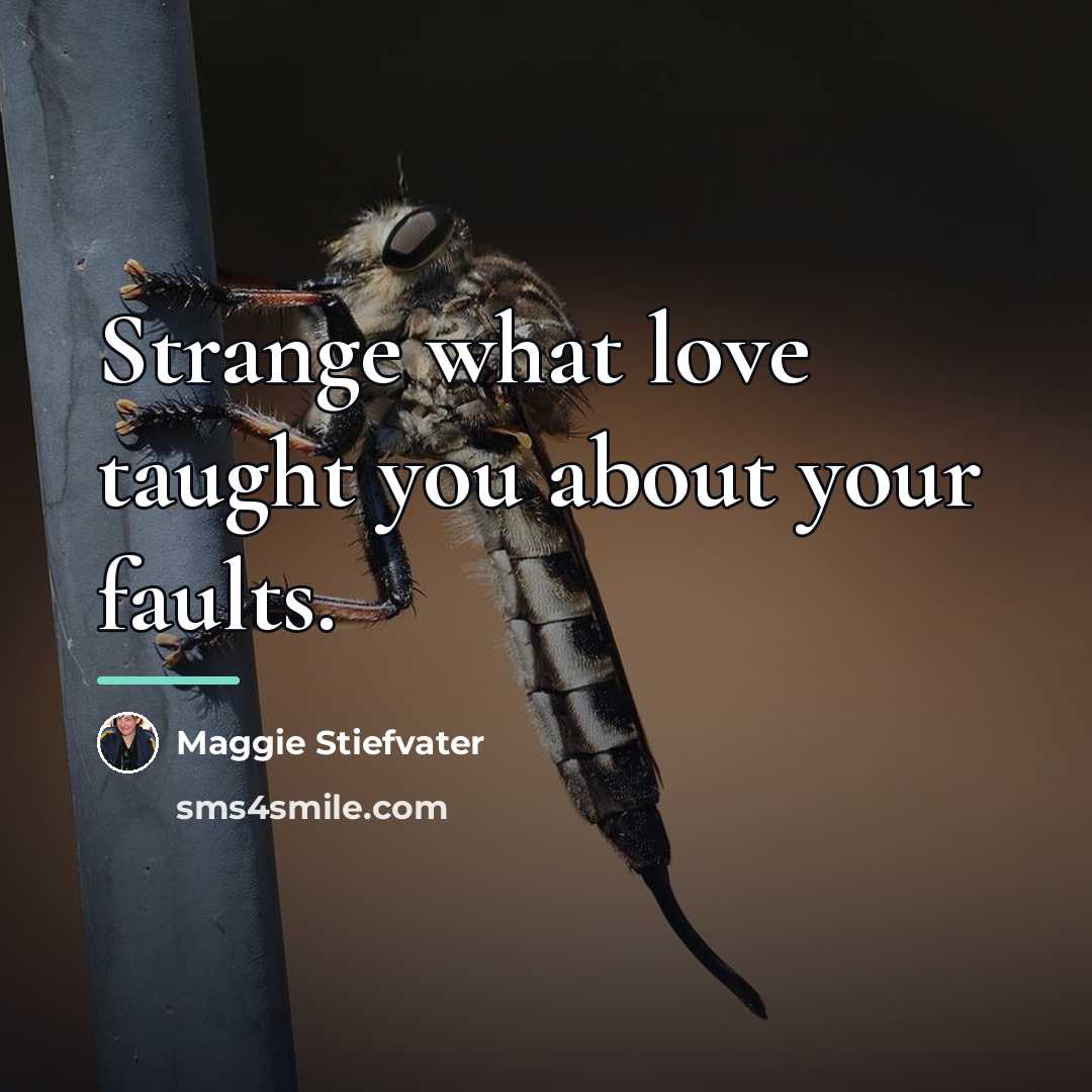 “Strange what love taught you about your faults.…” quote by Maggie Stiefvater