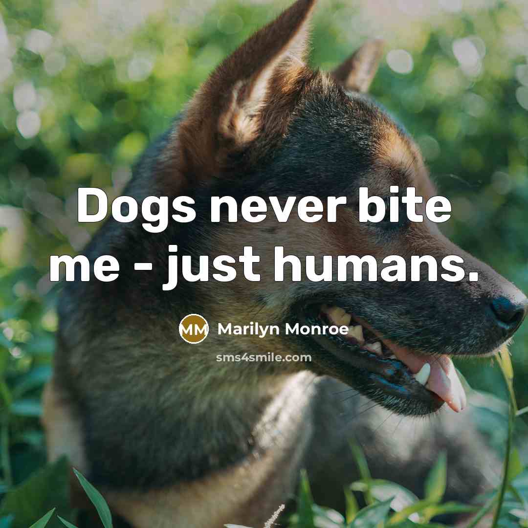 “Dogs never bite me - just humans.…” quote by Marilyn Monroe