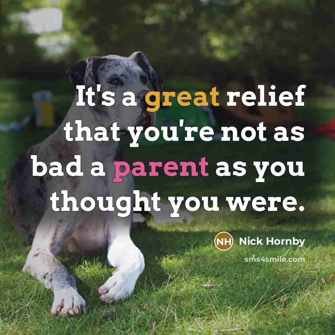 “It's a great relief that you're not as bad a…” quote by Nick Hornby