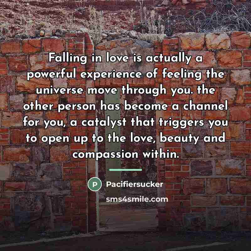 “Falling in love is actually a powerful experience of feeling…” quote by Pacifiersucker