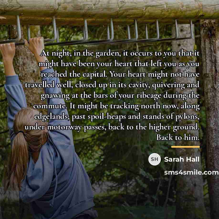 “At night, in the garden, it occurs to you that…” quote by Sarah Hall