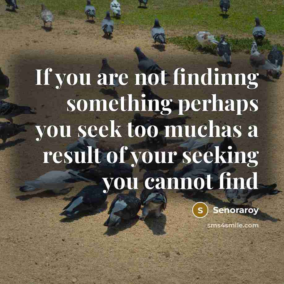 “If you are not findinng something perhaps you seek too…” quote by Senoraroy