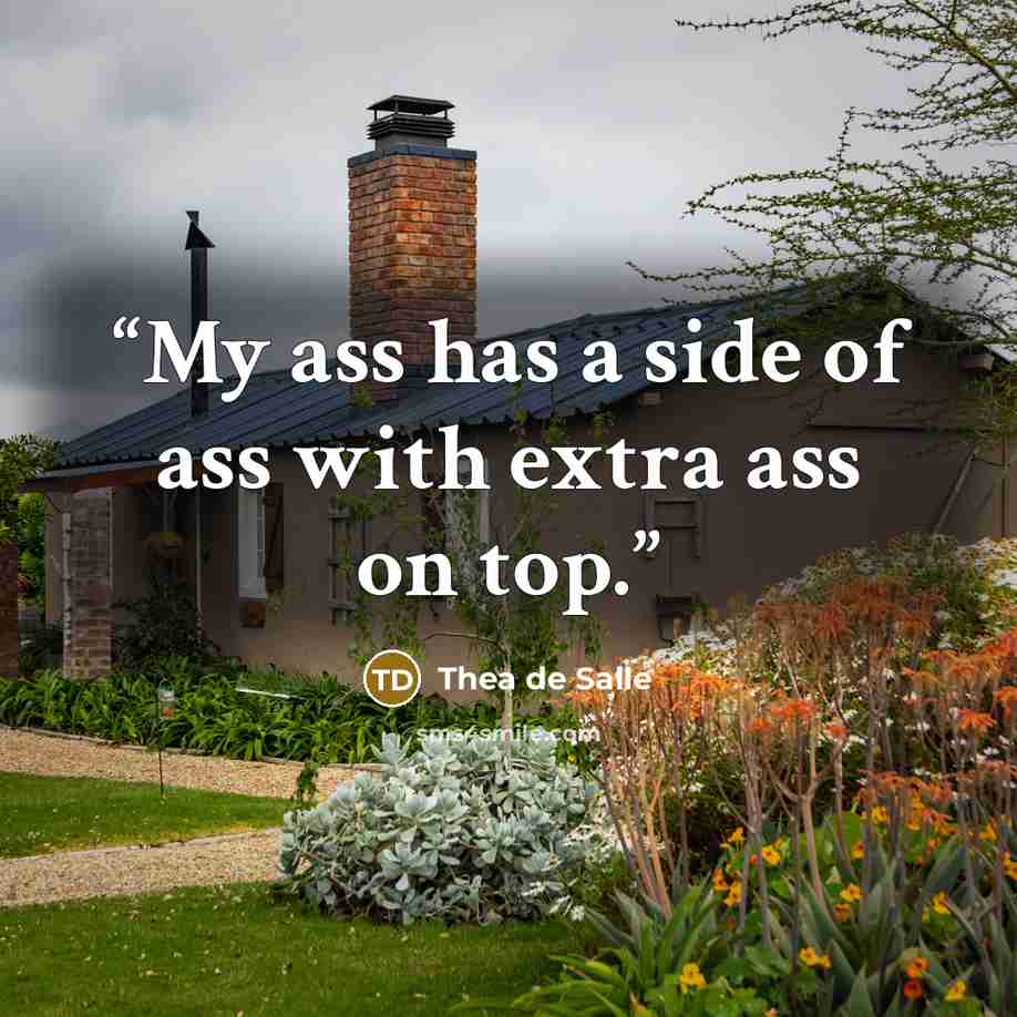 “My ass has a side of ass with extra ass on top.” quote by Thea de Salle