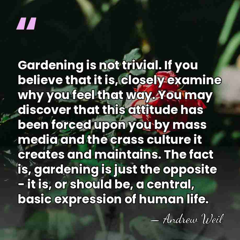 Gardening is not trivial. If you believe that it is, closely examine&hellip; - Andrew Weil