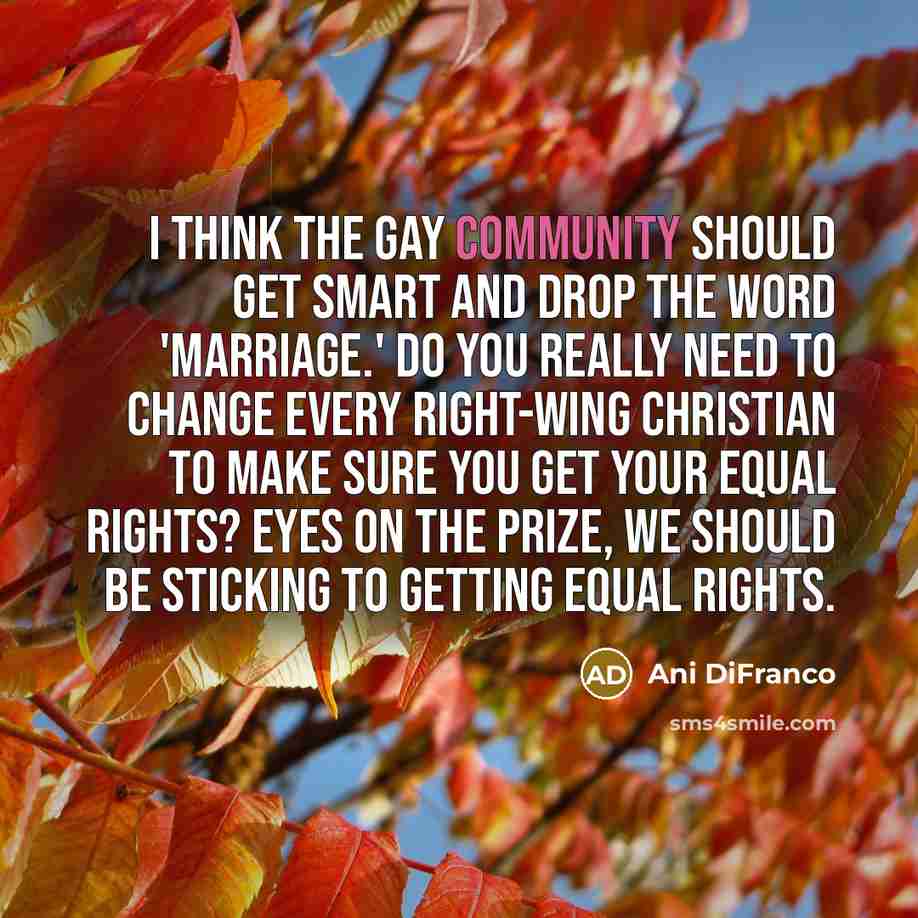 “I think the gay community should get smart and drop…” quote by Ani DiFranco