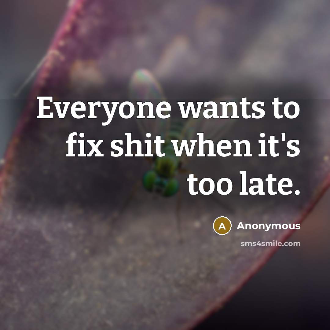 “Everyone wants to fix shit when it's too late.…” quote by Anonymous