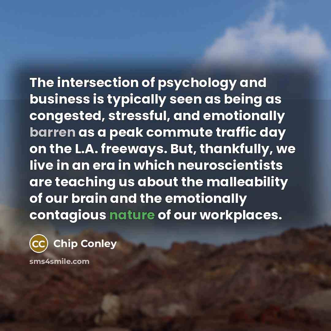“The intersection of psychology and business is typically seen as…” quote by Chip Conley