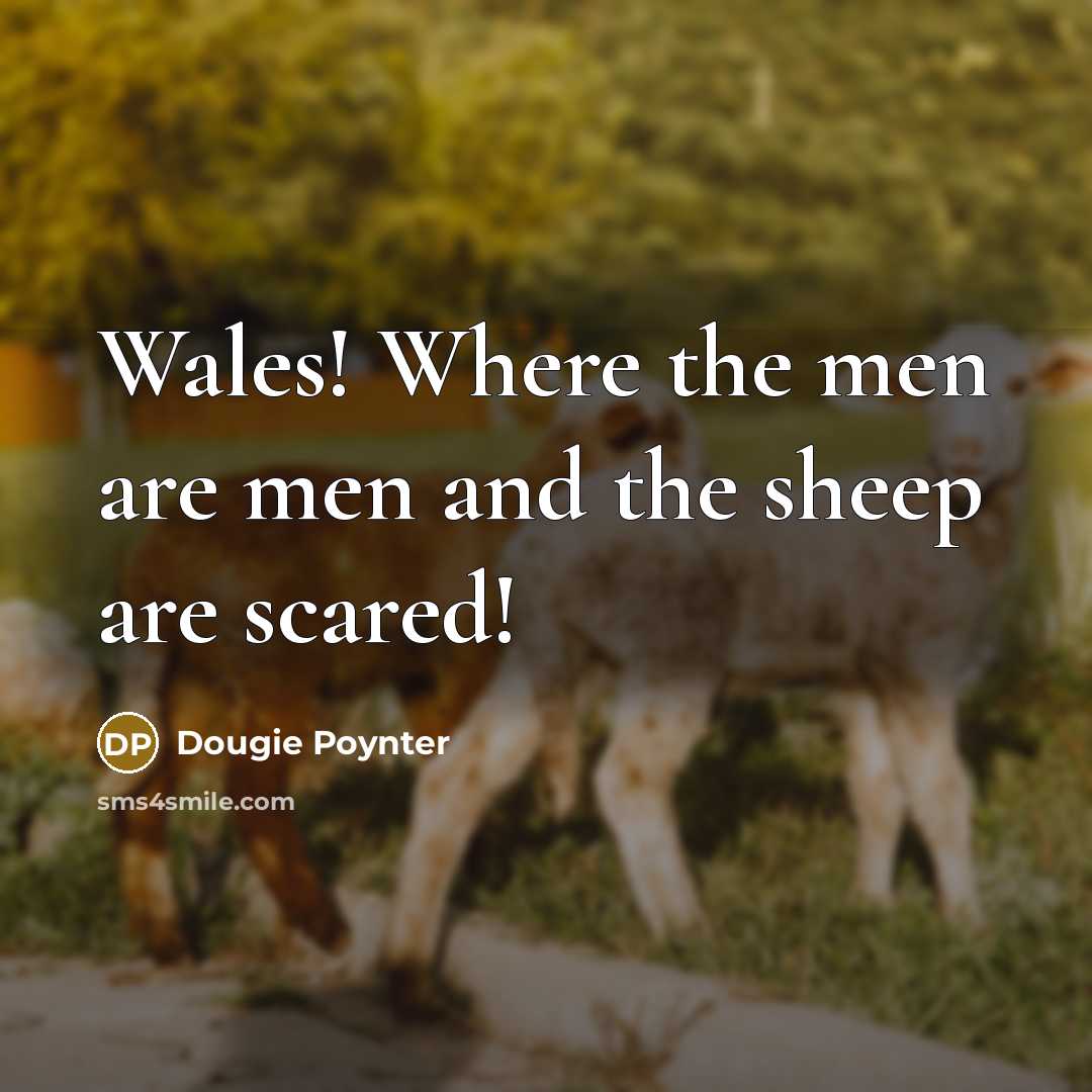 “Wales! Where the men are men and the sheep are…” quote by Dougie Poynter