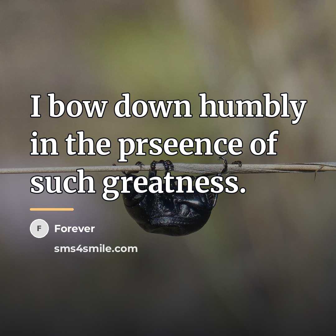 “I bow down humbly in the prseence of such greatness.…” quote by Forever