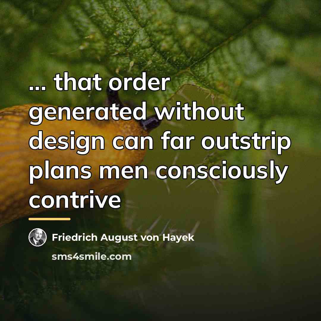 “... that order generated without design can far outstrip plans…” quote by Friedrich August von Hayek