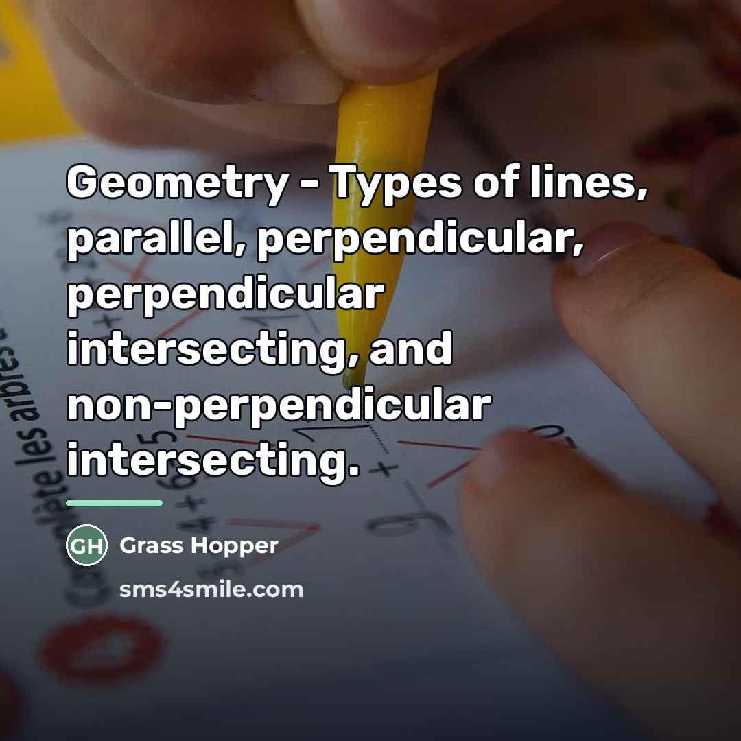 “Geometry - Types of lines, parallel, perpendicular, perpendicular intersecting, and…” quote by Grass Hopper