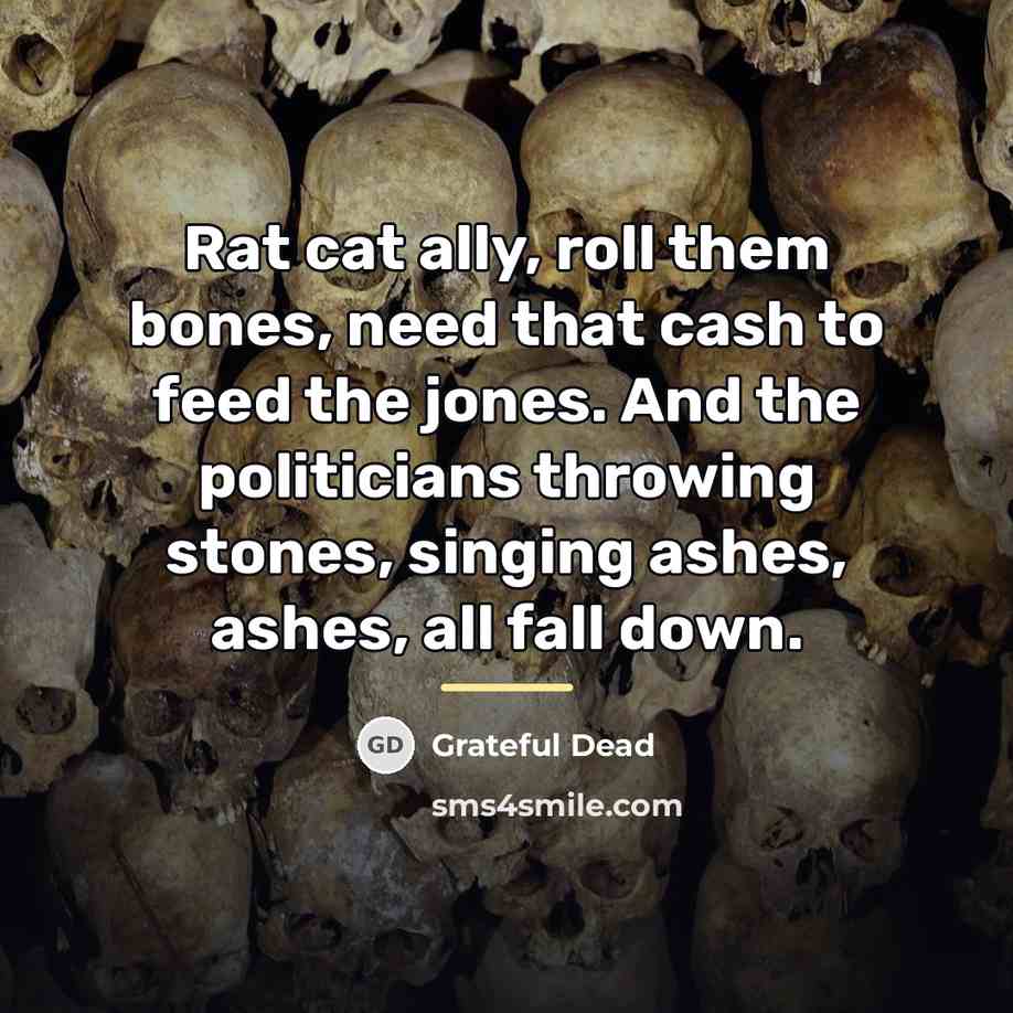 “Rat cat ally, roll them bones, need that cash to…” quote by Grateful Dead