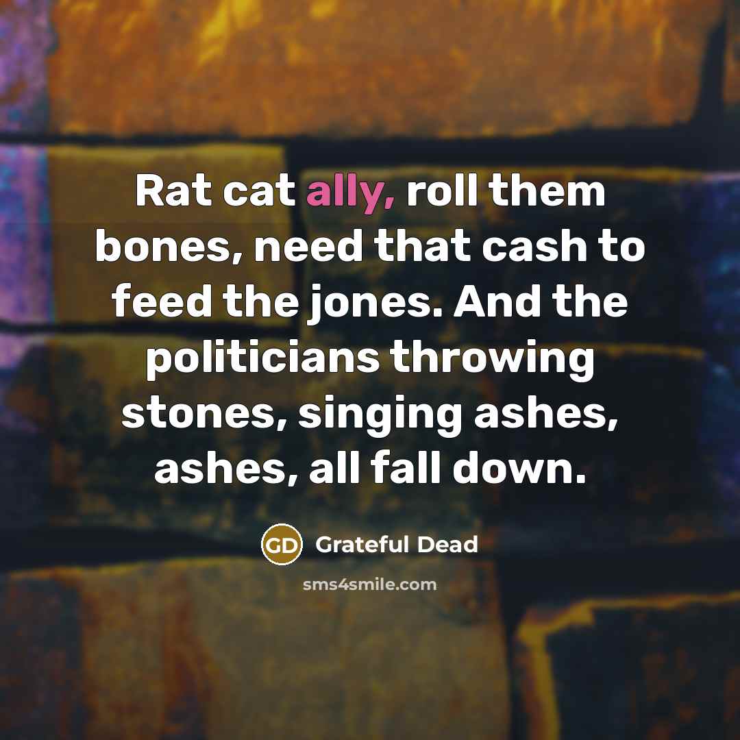 “Rat cat ally, roll them bones, need that cash to feed the jones. And the politicians throwing stones, singing ashes, ashes, all fall down.” quote by Grateful Dead