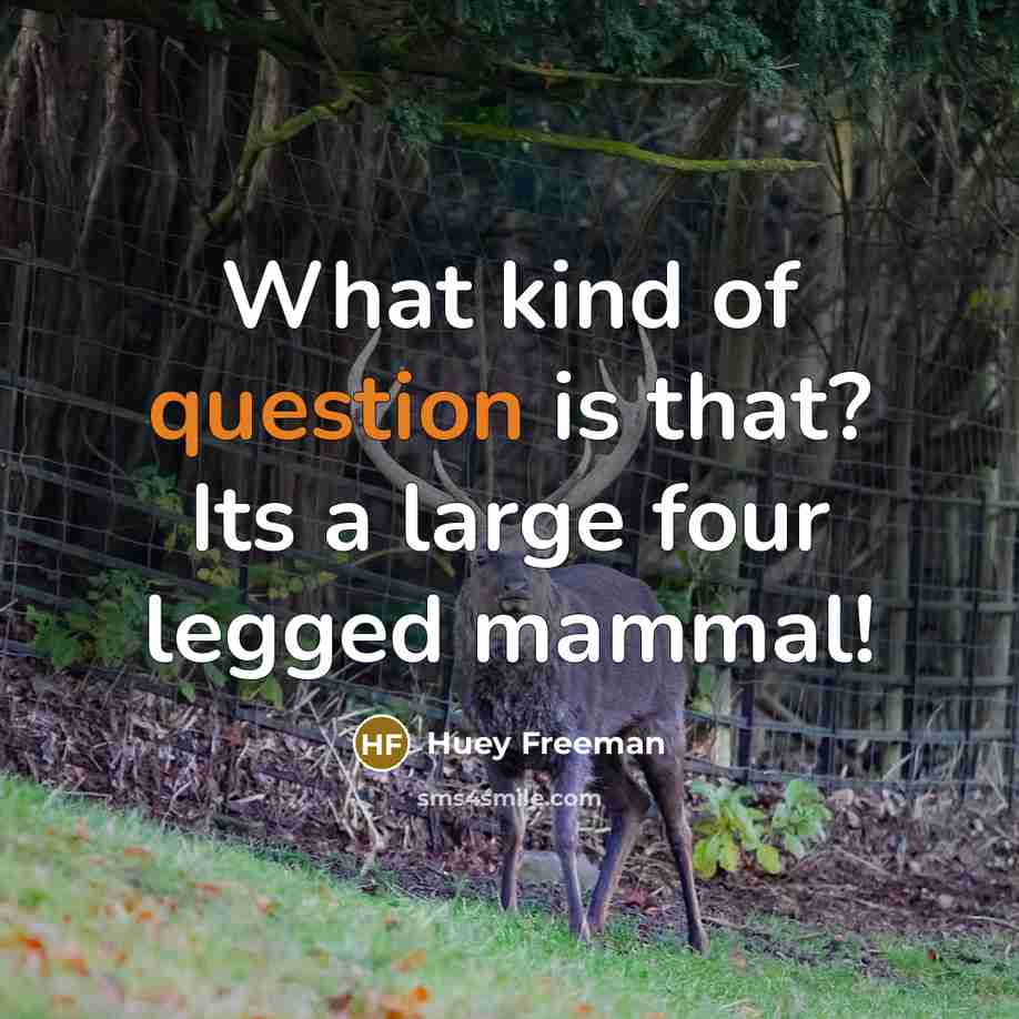 “What kind of question is that? Its a large four legged mammal!” quote by Huey Freeman