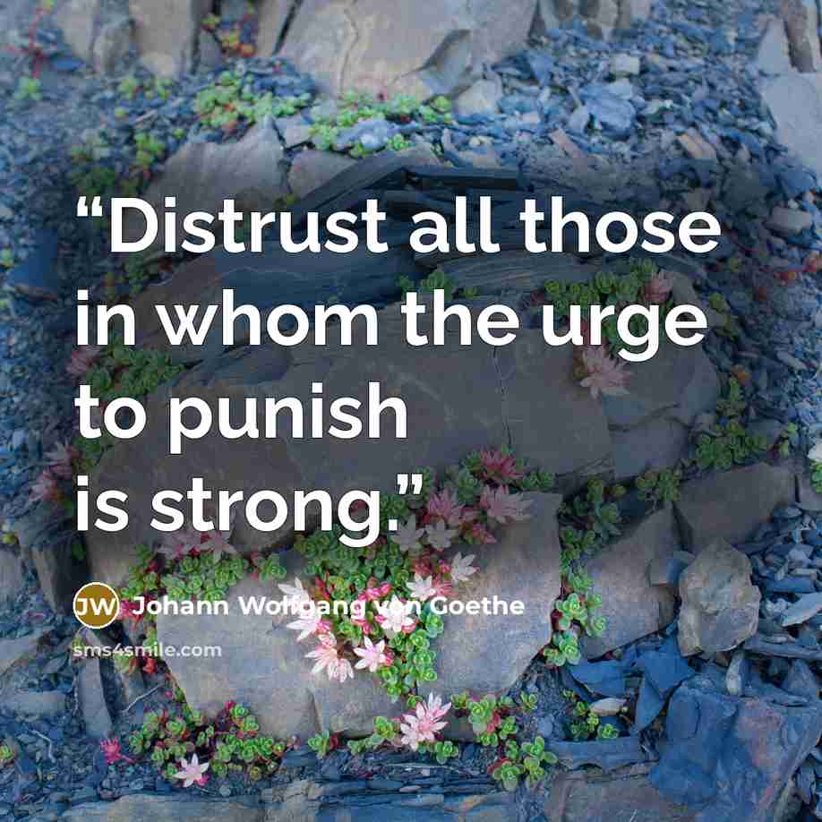 “Distrust all those in whom the urge to punish is strong.” quote by Johann Wolfgang von Goethe