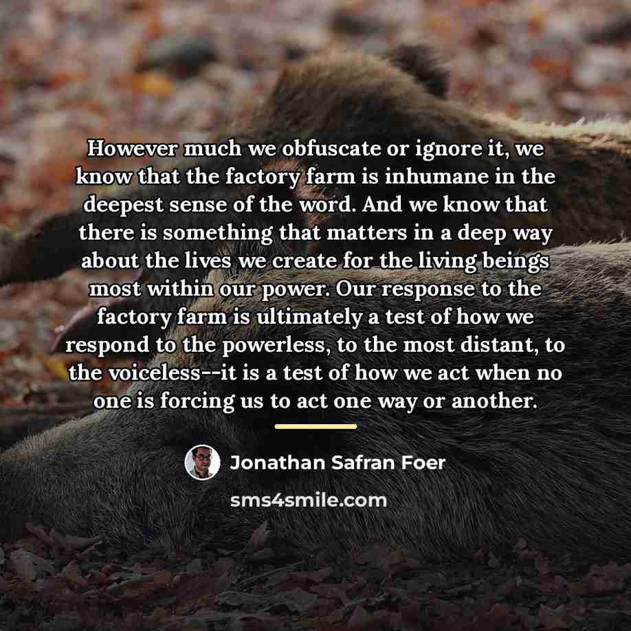 “However much we obfuscate or ignore it, we know that…” quote by Jonathan Safran Foer