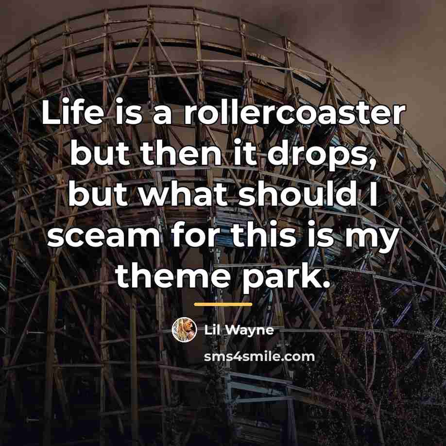 “Life is a rollercoaster but then it drops, but what…” quote by Lil Wayne