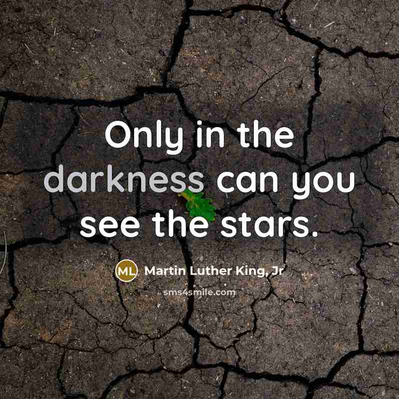 “Only in the darkness can you see the stars.…” quote by Martin Luther King, Jr