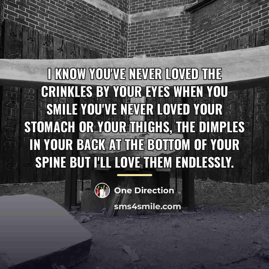 “I know you've never loved the crinkles by your eyes…” quote by One Direction