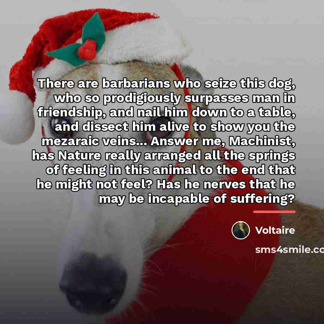“There are barbarians who seize this dog, who so prodigiously…” quote by Voltaire