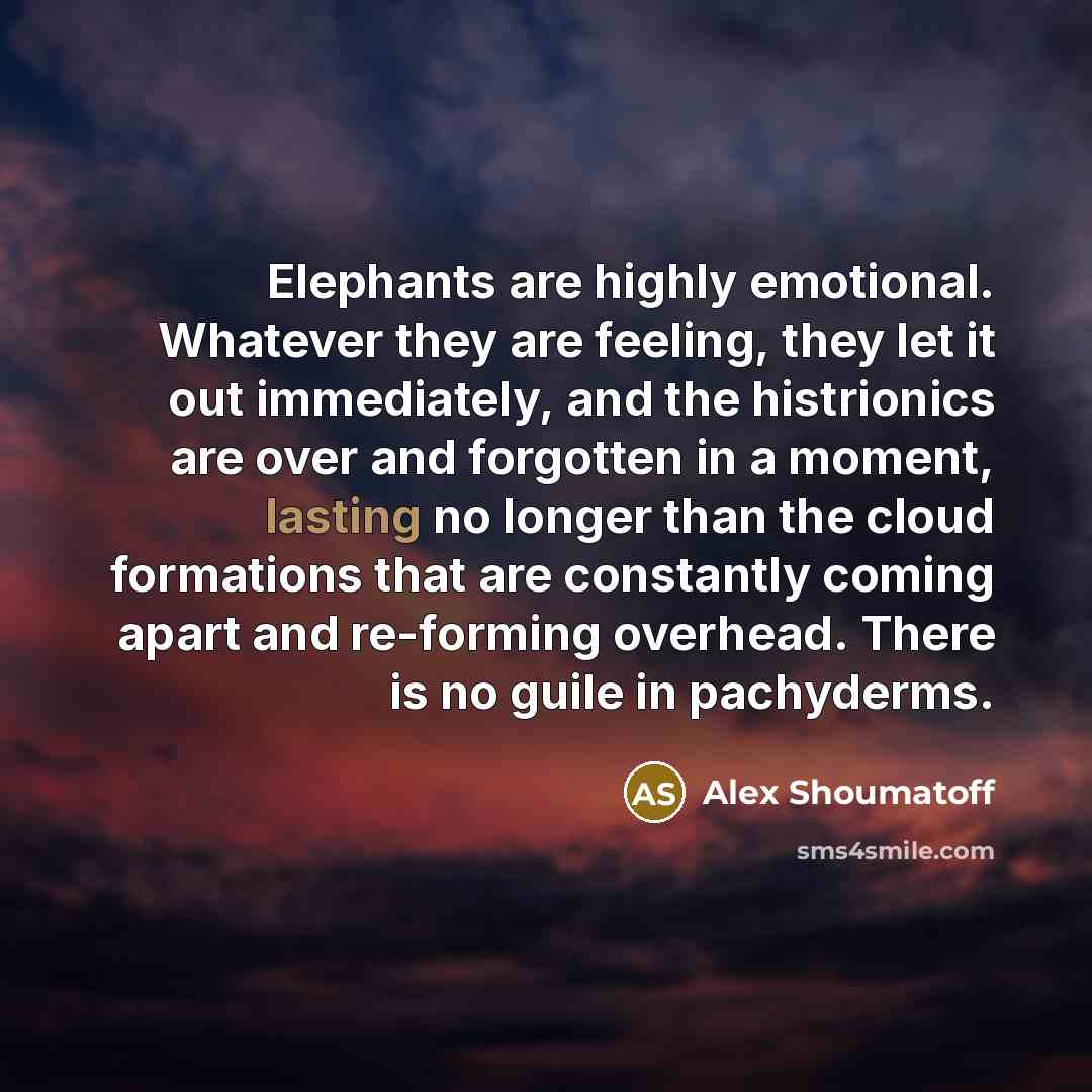 “Elephants are highly emotional. Whatever they are feeling, they let…” quote by Alex Shoumatoff