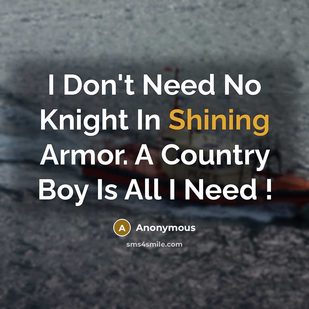 “I Don't Need No Knight In Shining Armor. A Country…” quote by Anonymous