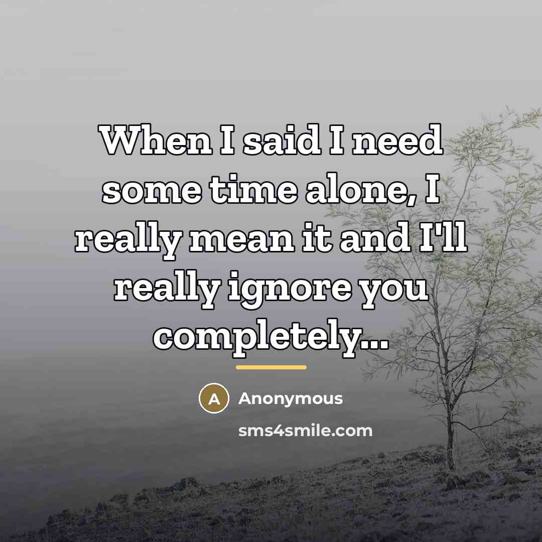 “When I said I need some time alone, I really…” quote by Anonymous