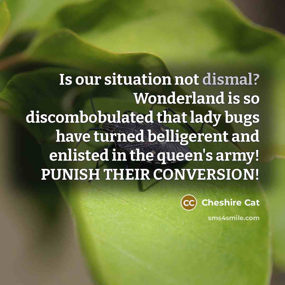 “Is our situation not dismal? Wonderland is so discombobulated that…” quote by Cheshire Cat
