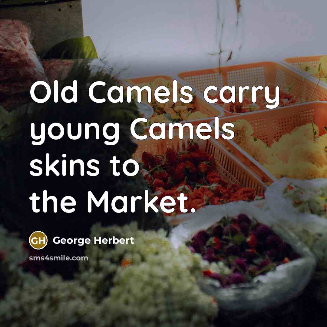 “Old Camels carry young Camels skins to the Market.…” quote by George Herbert