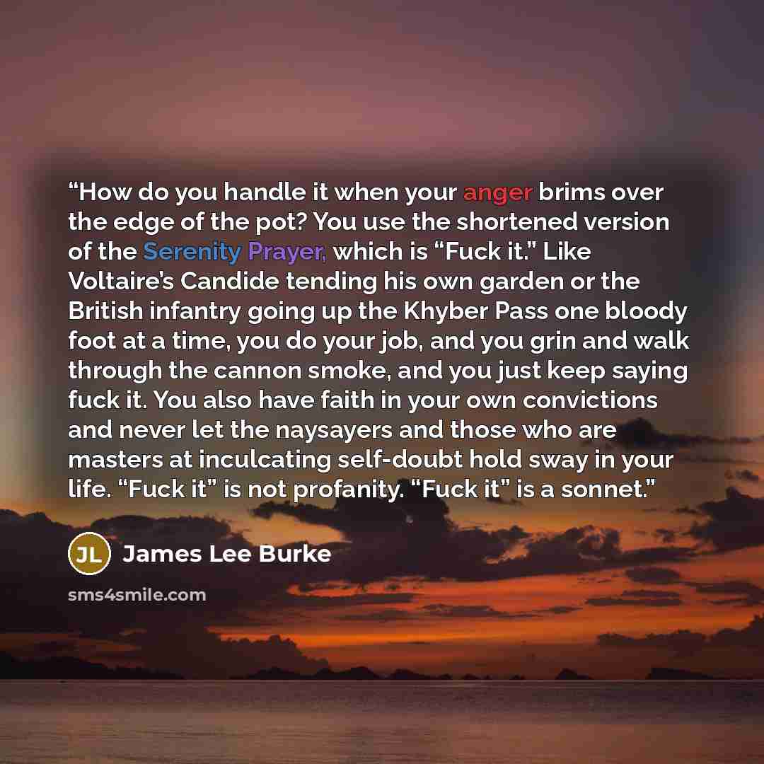 “How do you handle it when your anger brims over the edge of the pot? You use the shortened version of the Serenity Prayer, which is “Fuck it.” Like Voltaire’s Candide tending his own garden or the British infantry going up the Khyber Pass one bloody foot at a time, you do your job, and you grin…” quote by James Lee Burke