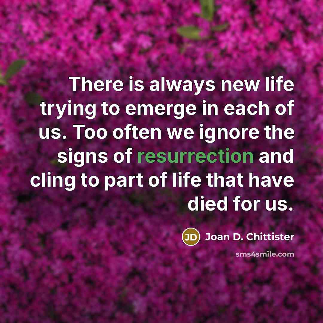 “There is always new life trying to emerge in each…” quote by Joan D. Chittister