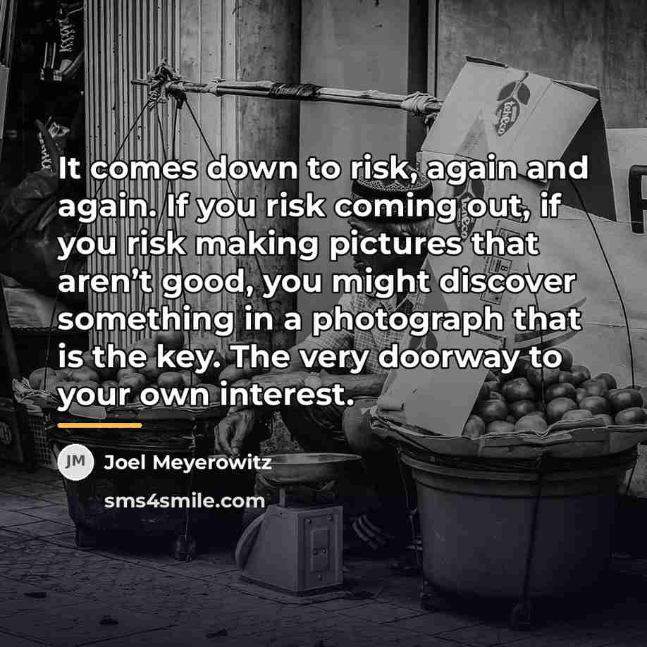 “It comes down to risk, again and again. If you…” quote by Joel Meyerowitz