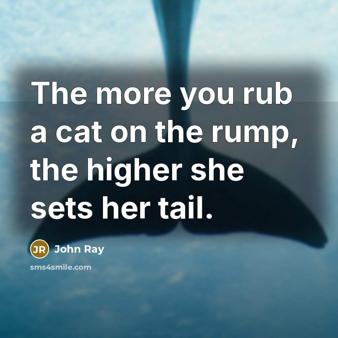“The more you rub a cat on the rump, the…” quote by John Ray