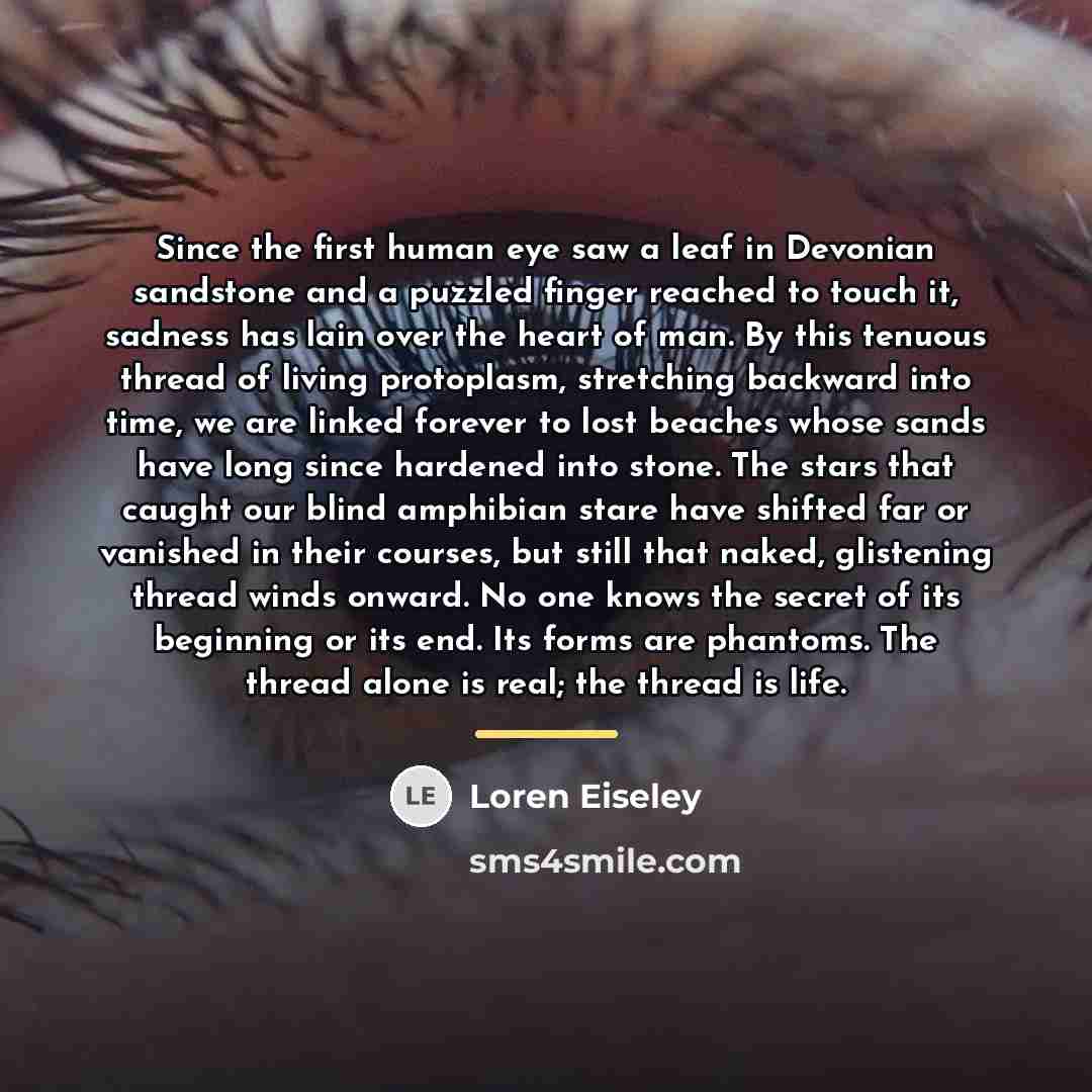 “Since the first human eye saw a leaf in Devonian…” quote by Loren Eiseley